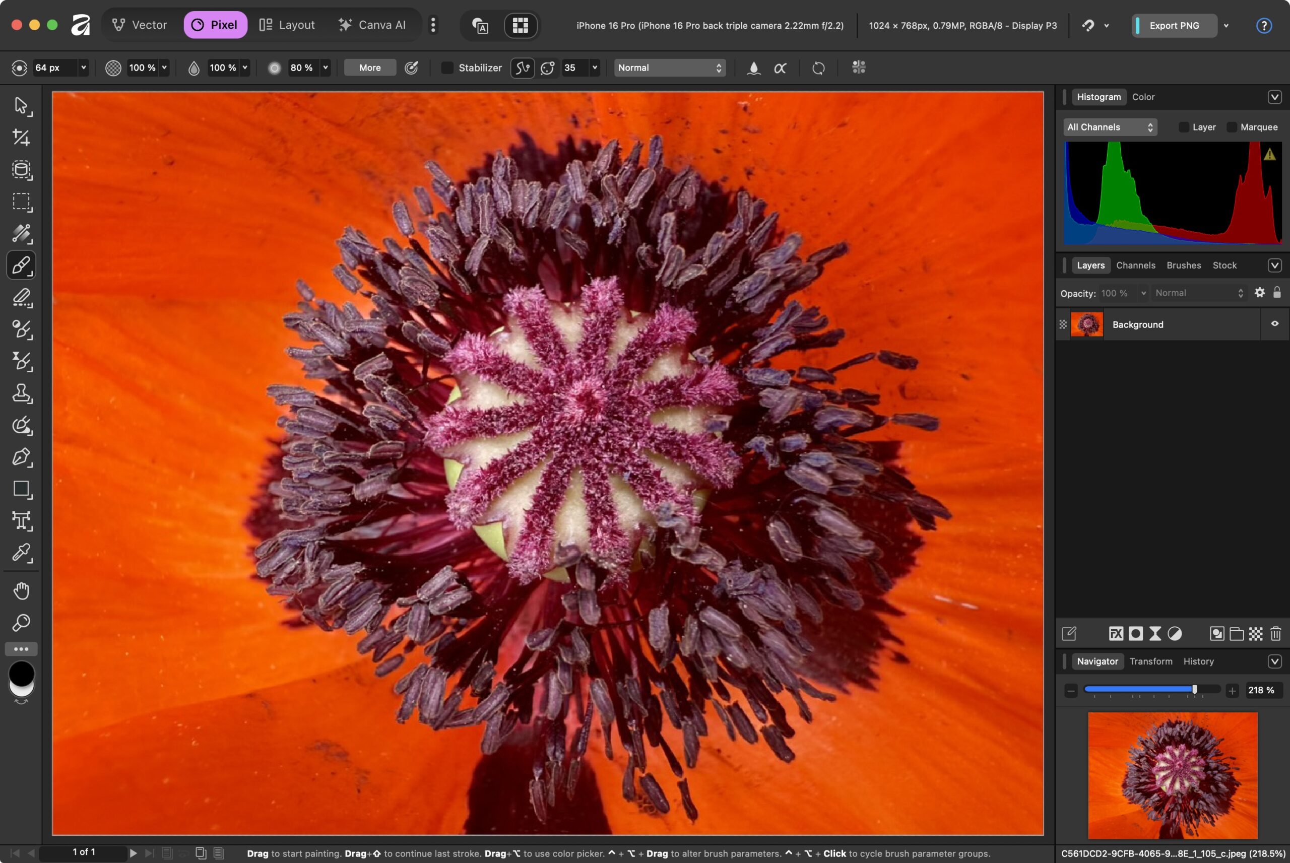 Canva’s Free Affinity App Takes on Adobe Creative Cloud