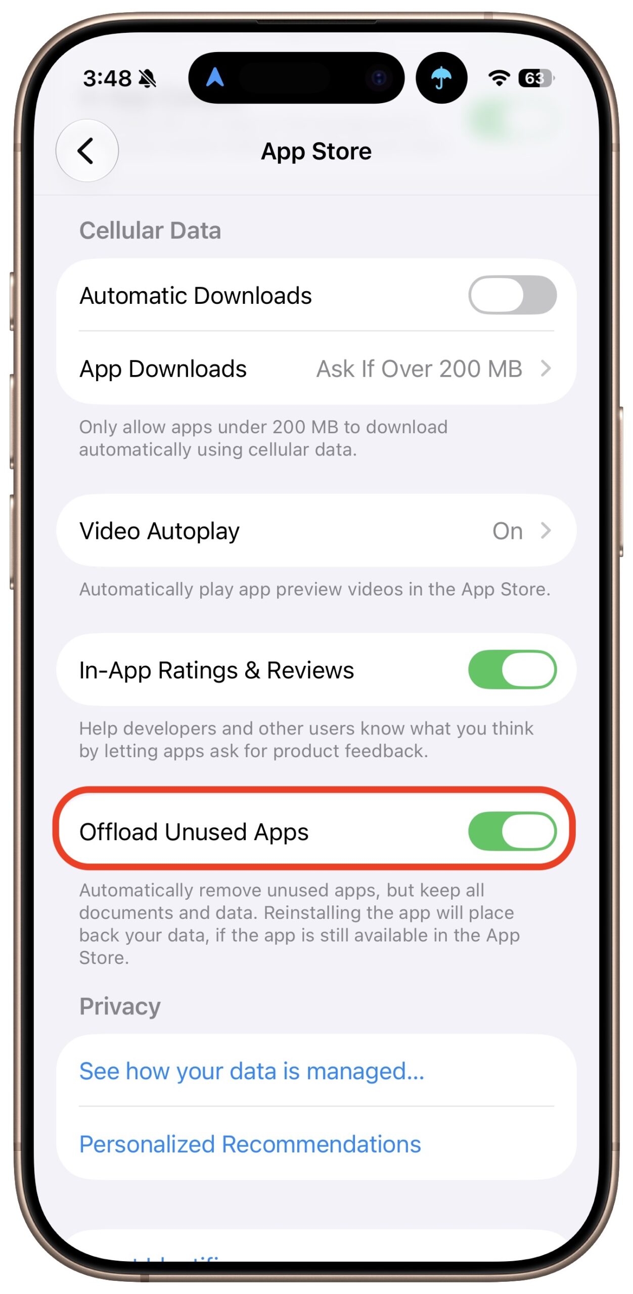 Be Careful When Offloading iPhone Apps